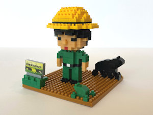 LEGO Image